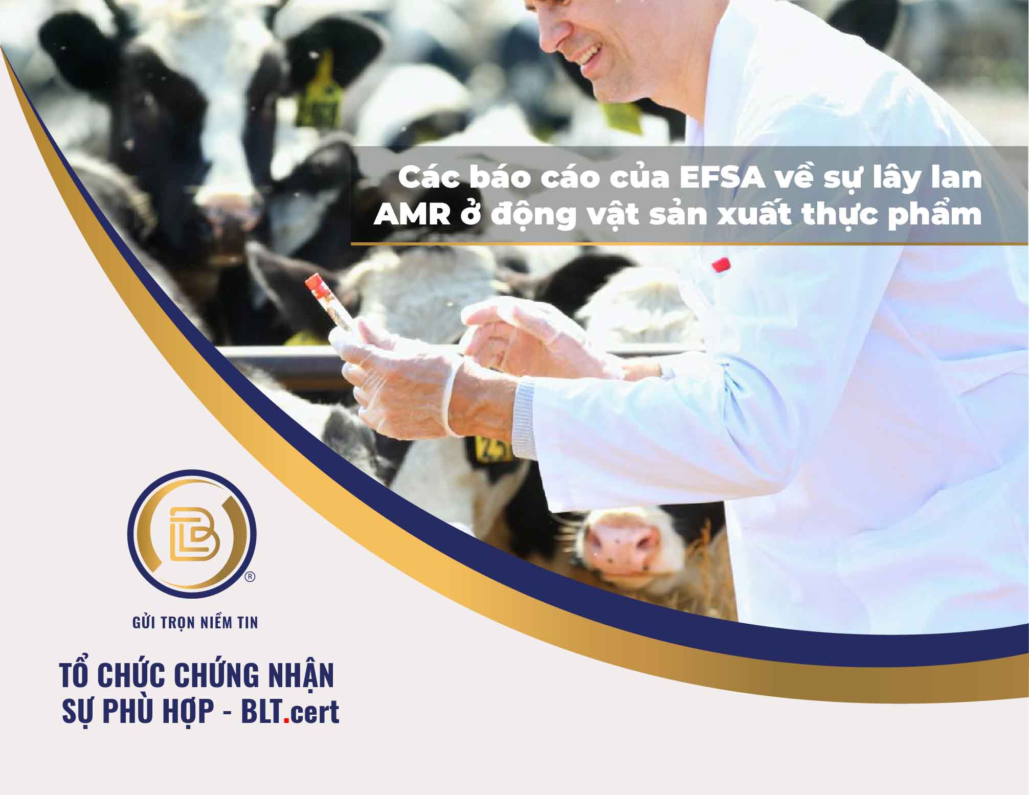 Các báo cáo của EFSA về sự lây lan AMR ở động vật sản xuất thực phẩm