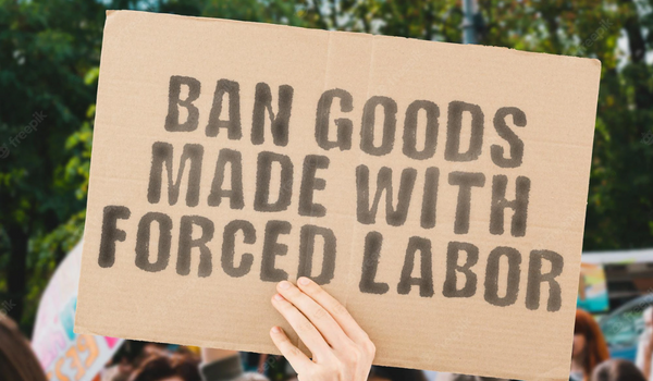 Những điều bạn cần biết về Lệnh cấm lao động cưỡng bức mới của EU